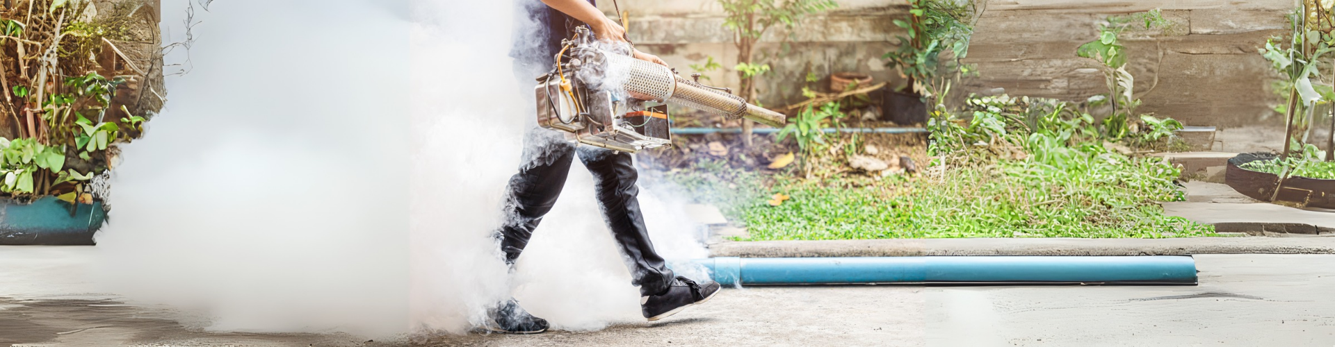 20250911 180808 0001